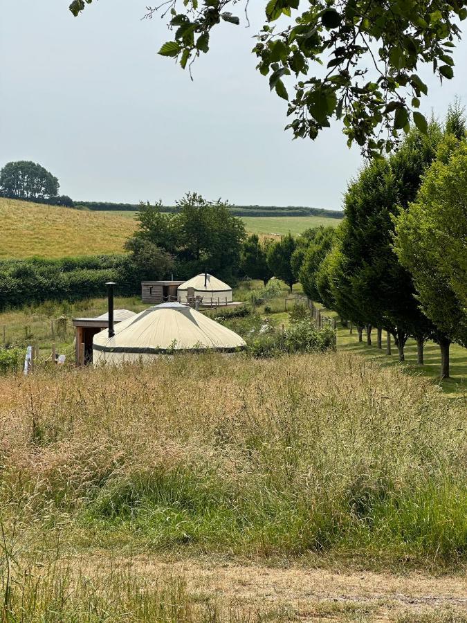 فندق Bracken Yurt At Walnut Farm Glamping Netherbury المظهر الخارجي الصورة