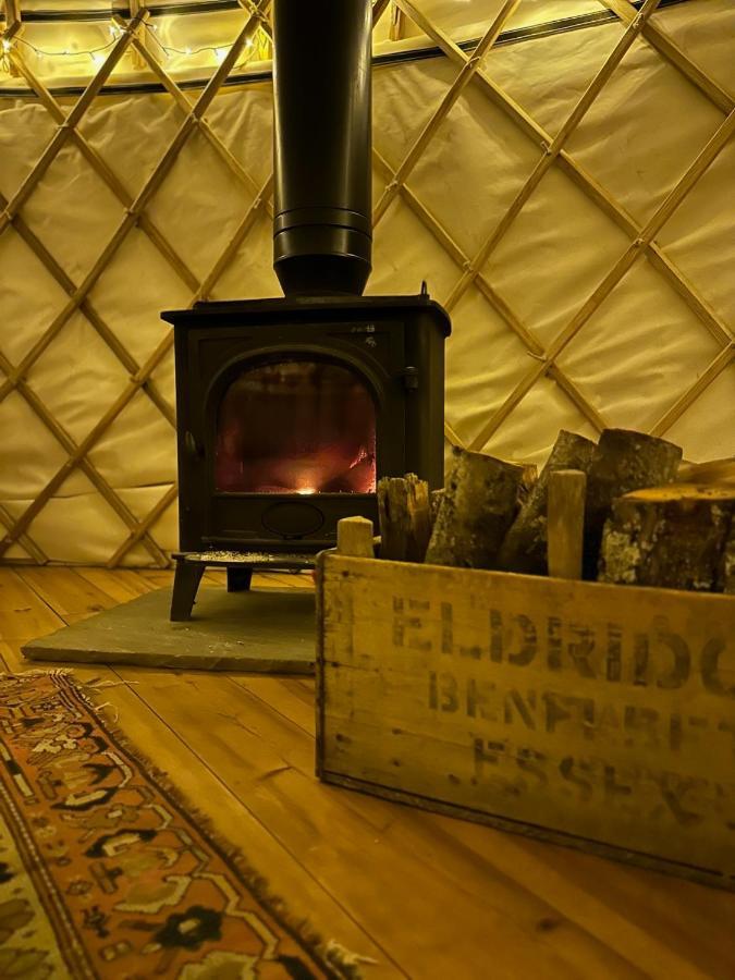 فندق Bracken Yurt At Walnut Farm Glamping Netherbury المظهر الخارجي الصورة