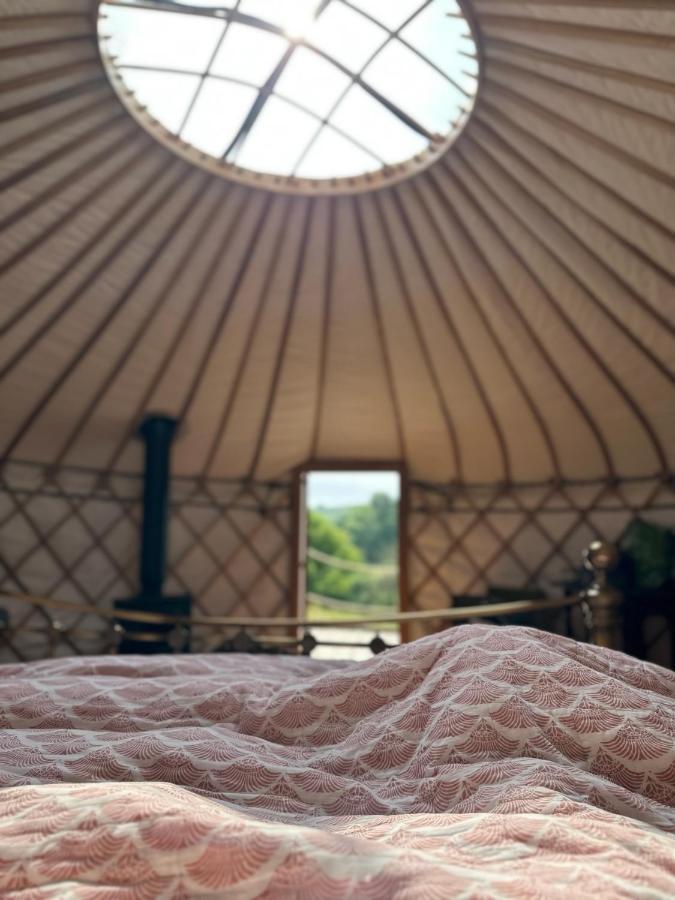 فندق Bracken Yurt At Walnut Farm Glamping Netherbury المظهر الخارجي الصورة