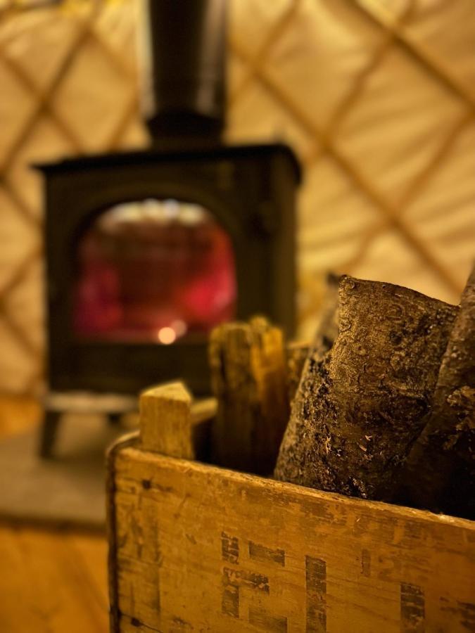 فندق Bracken Yurt At Walnut Farm Glamping Netherbury المظهر الخارجي الصورة